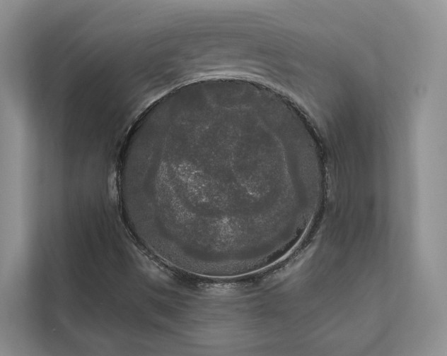 X0000111171497200907011339