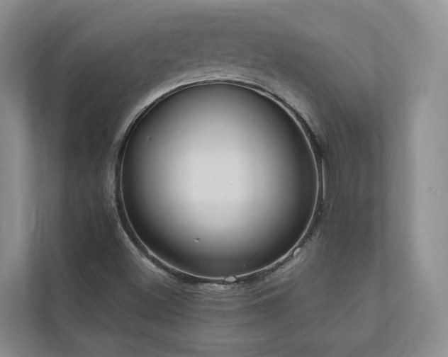 X0000111171500200907011339