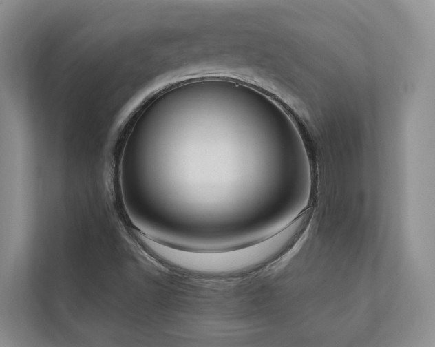 X0000111171502200907011339