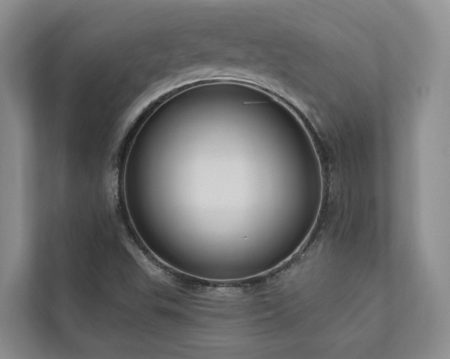 X0000111171503200907011339