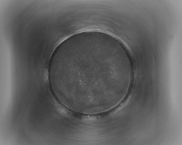 X0000111171505200907011339