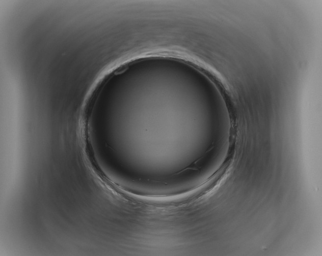 X0000111171506200907011339