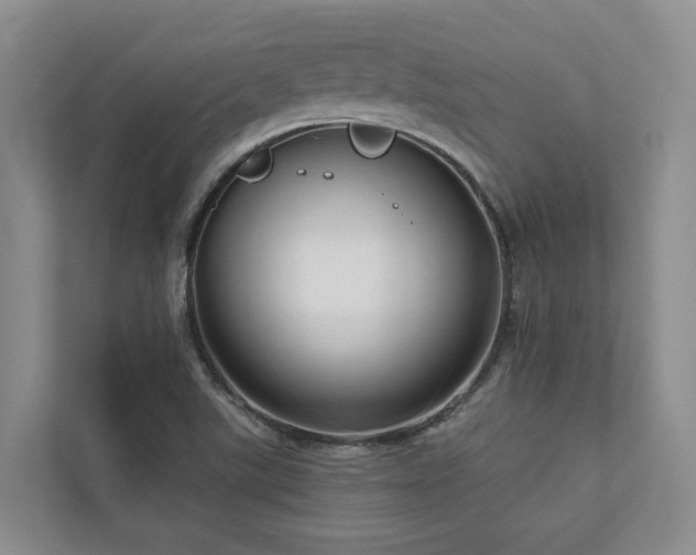 X0000111171507200907011339