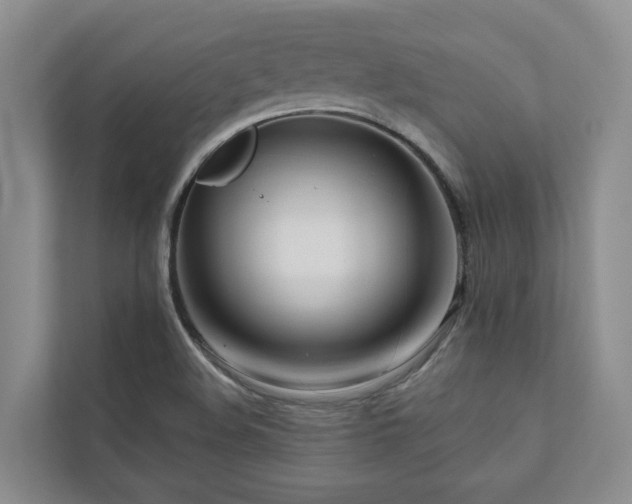 X0000111171508200907011339