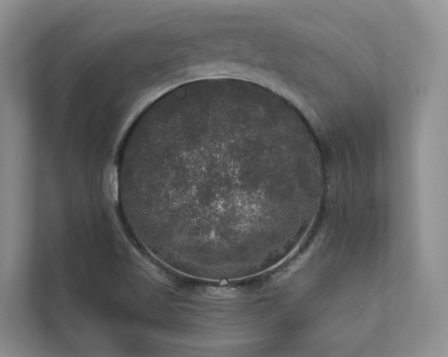 X0000111171509200907011339