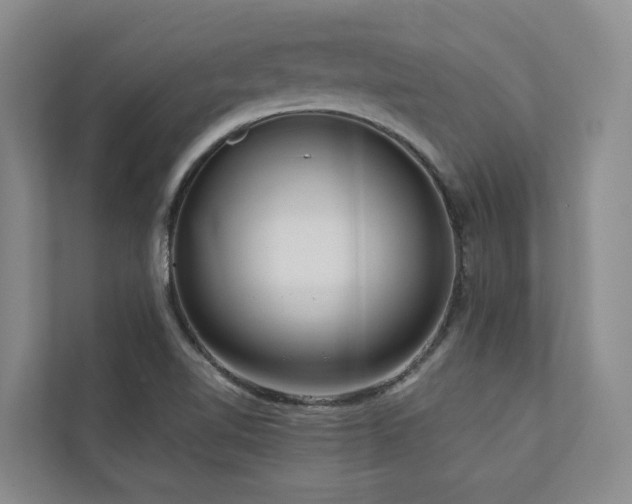 X0000111171510200907011339