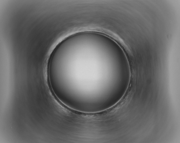 X0000111171512200907011339