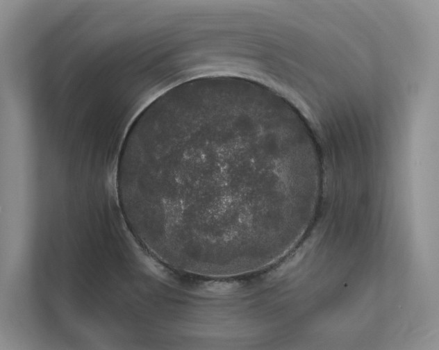 X0000111171513200907011339