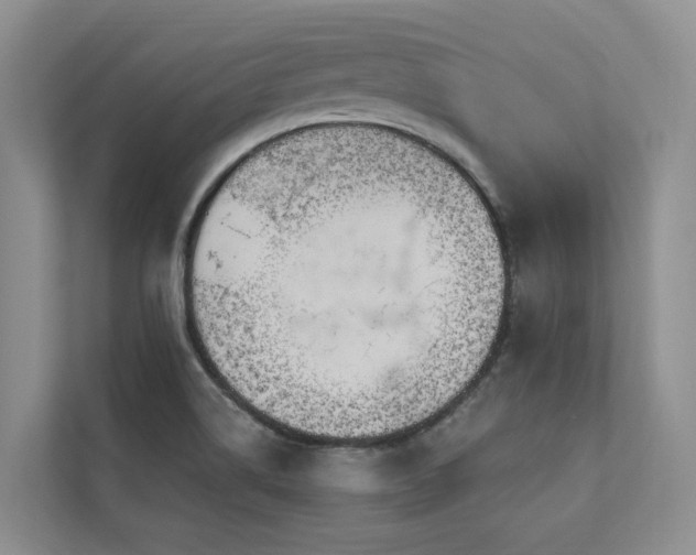 X0000111171514200907011339