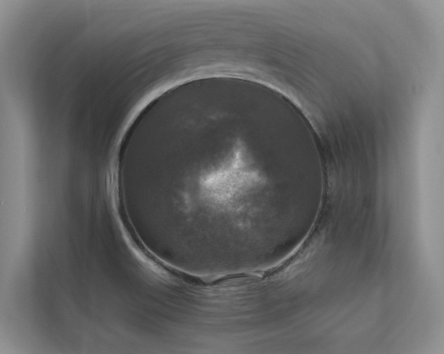 X0000111171515200907011339