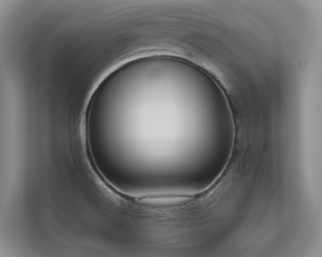 X0000111171516200907011339