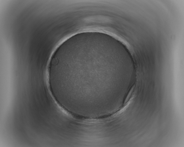 X0000111171517200907011339