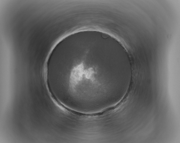 X0000111171519200907011339