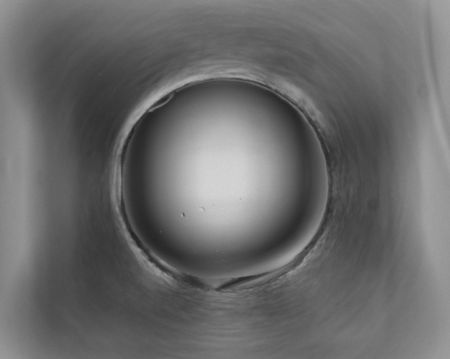 X0000111171520200907011339