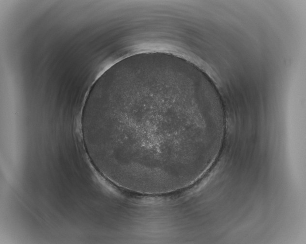 X0000111171521200907011339