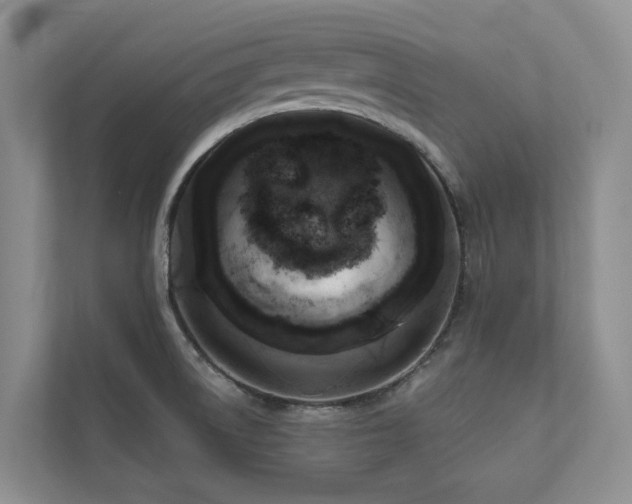 X0000111171522200907011339