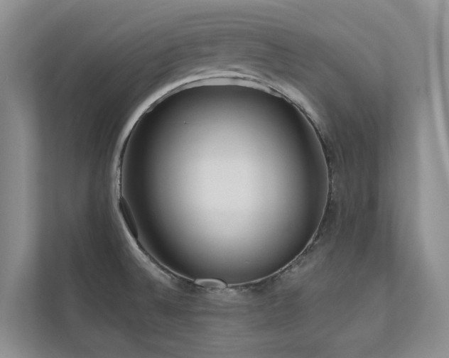 X0000111171524200907011339