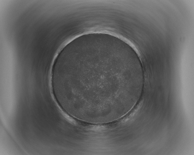 X0000111171525200907011339