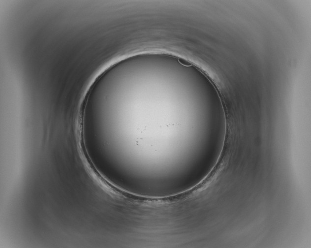 X0000111171526200907011339