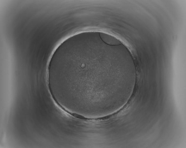 X0000111171527200907011339