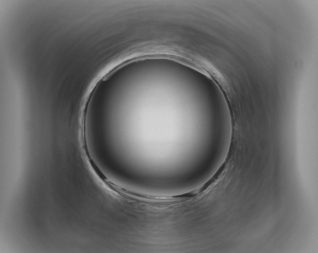 X0000111171528200907011339