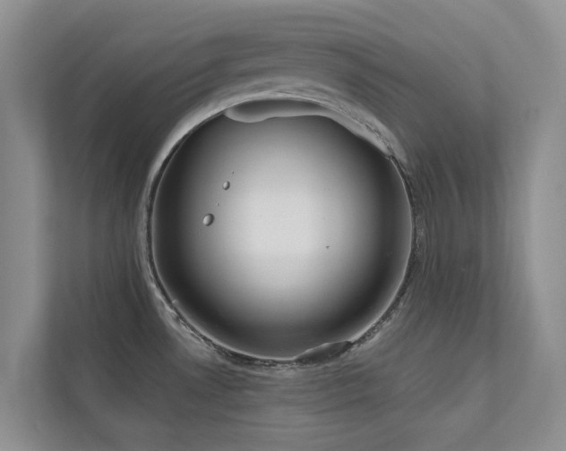 X0000111171530200907011339