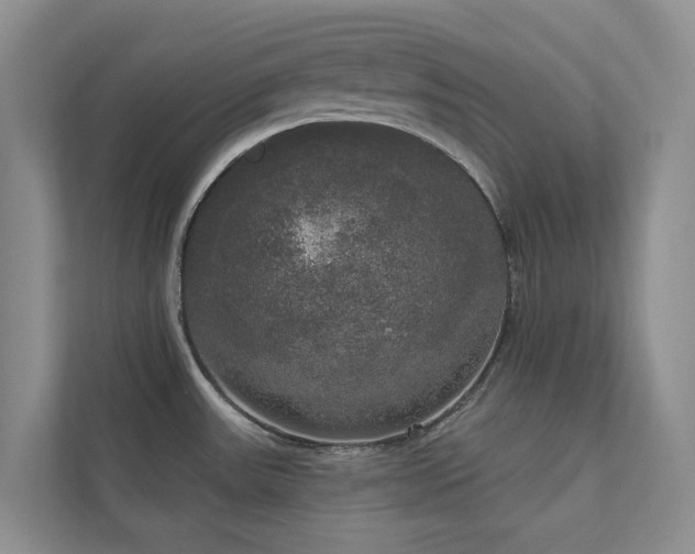 X0000111171531200907011339