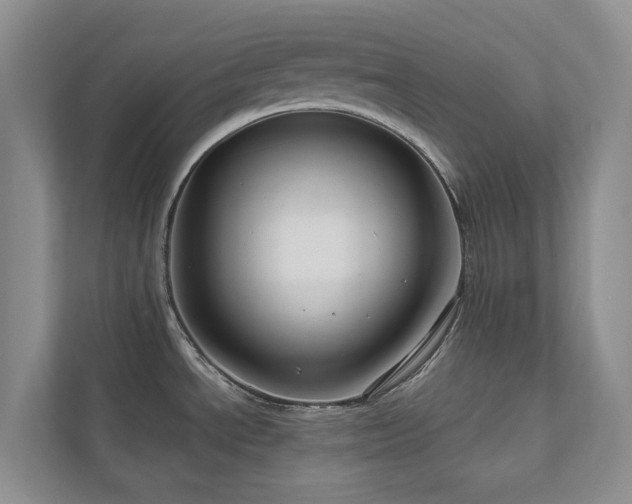 X0000111171534200907011339