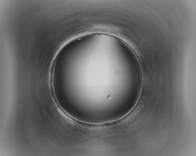 X0000111171535200907011339