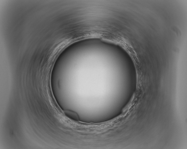 X0000111170001200907081224