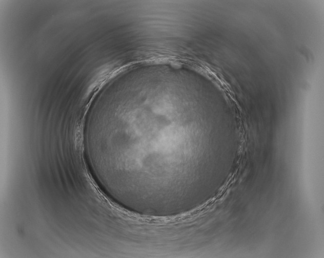 X0000111170002200907081224