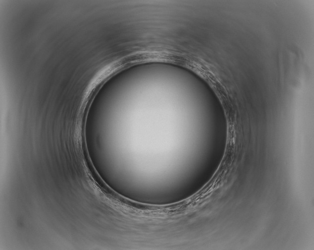 X0000111170004200907081224