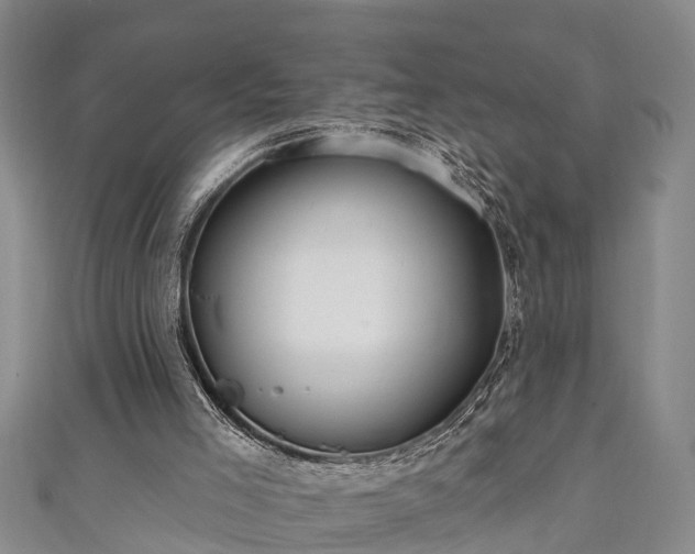 X0000111170005200907081224