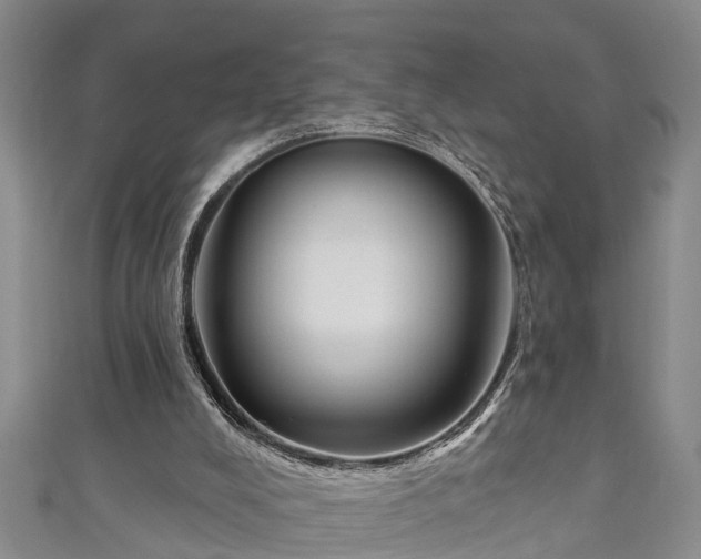 X0000111170008200907081224