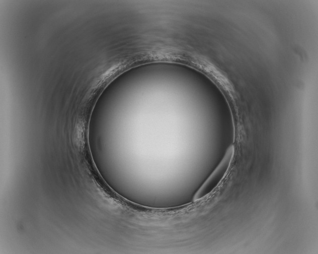 X0000111170009200907081224