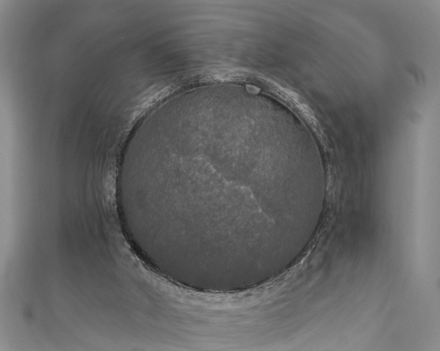 X0000111170010200907081224