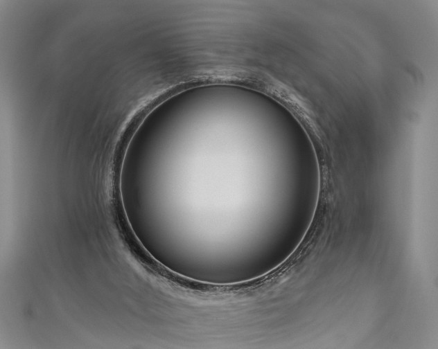 X0000111170012200907081224