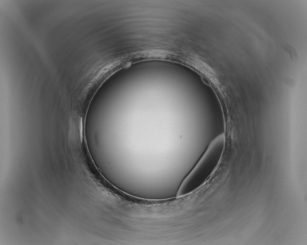 X0000111170013200907081224