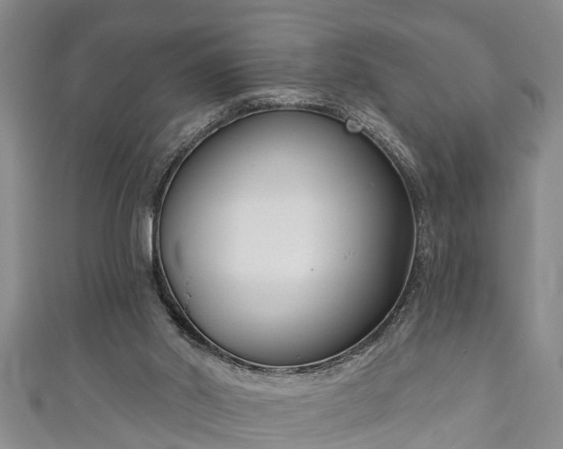 X0000111170014200907081224