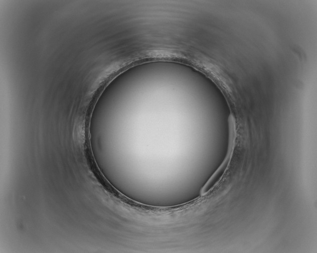 X0000111170015200907081224