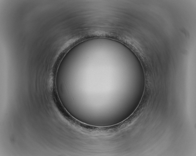 X0000111170016200907081224