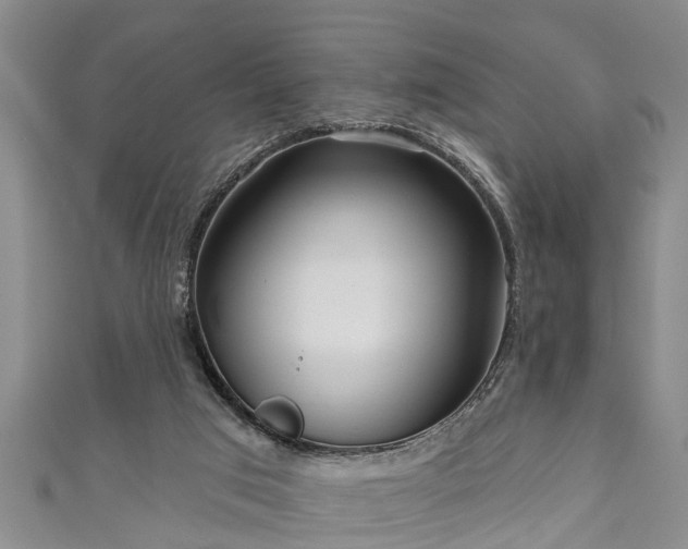 X0000111170017200907081224