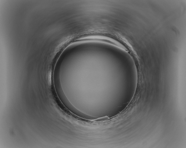 X0000111170019200907081224