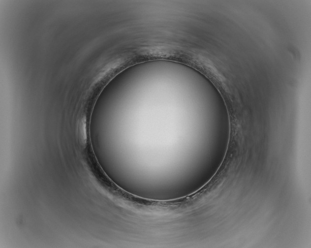 X0000111170020200907081224