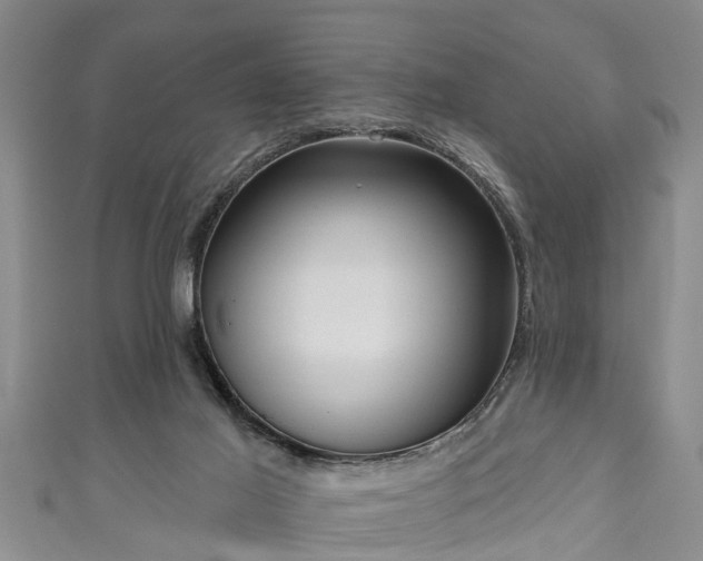 X0000111170021200907081224