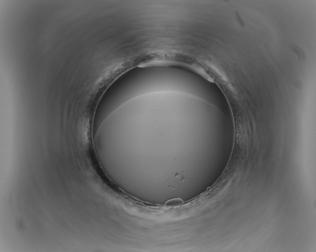 X0000111170023200907081224