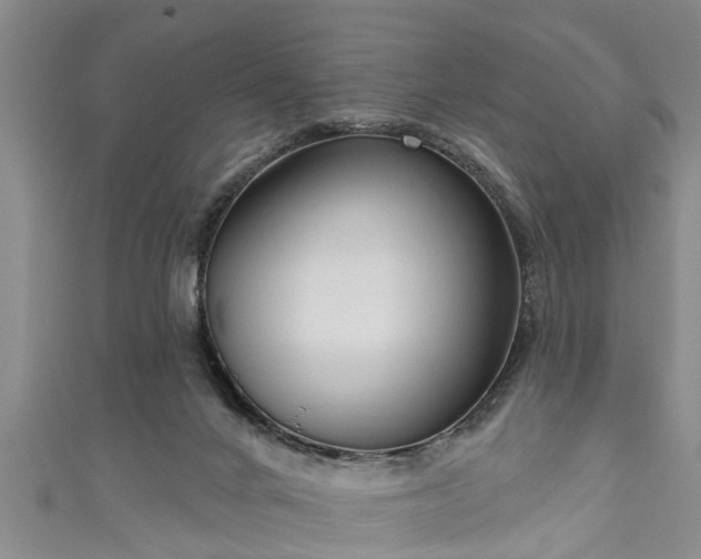 X0000111170024200907081224