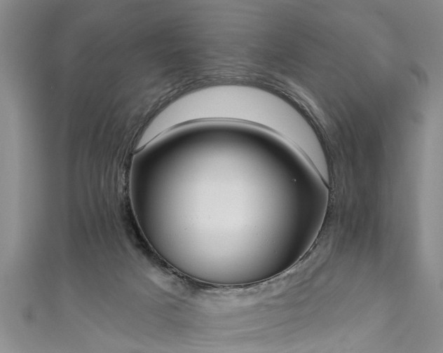 X0000111170025200907081224