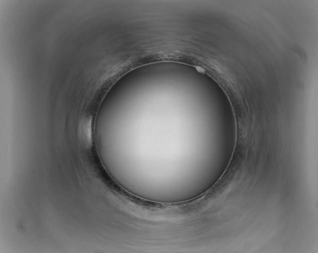 X0000111170028200907081224