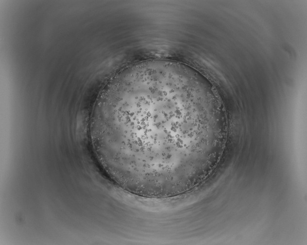 X0000111170030200907081224